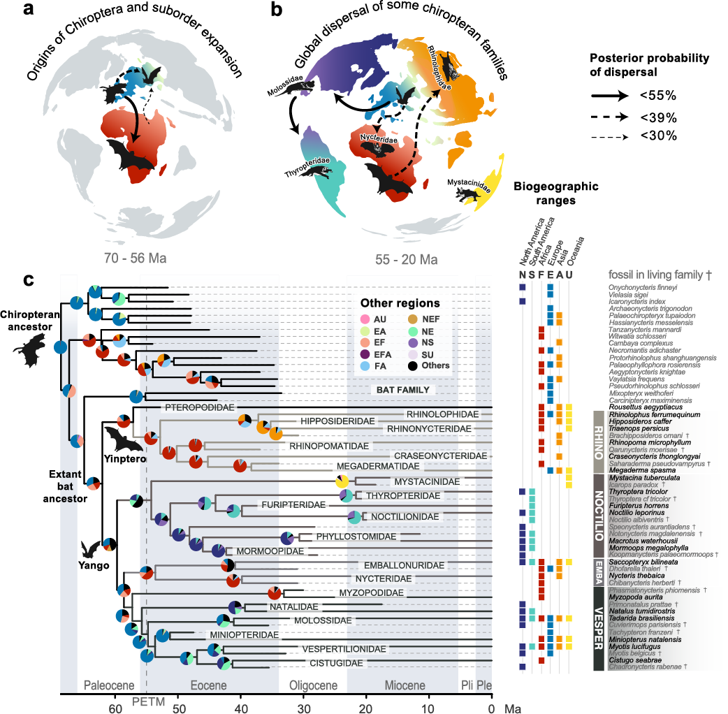 Bat Biogeography Map