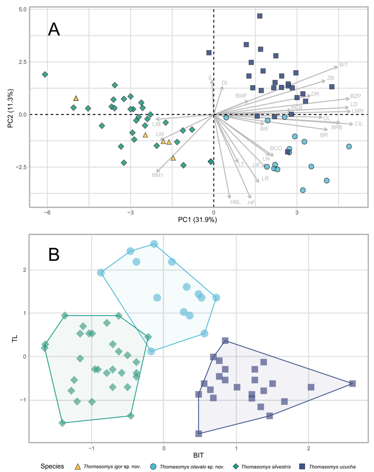 Thomasomys species multivariate analysis