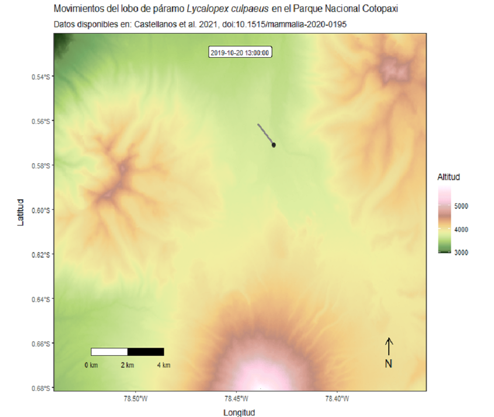 Fox movements visualization in Cotopaxi